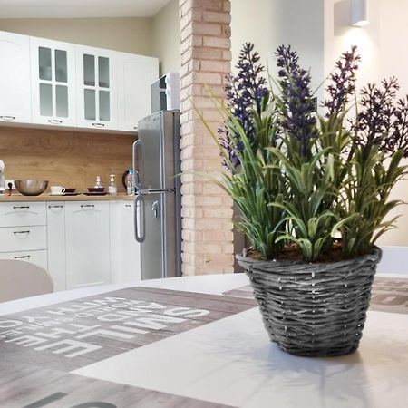 Old Town City Center Apartment روس المظهر الخارجي الصورة